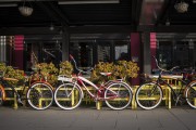 "車庫禁停新能源車"？廣東省博物館回應