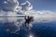 夢(mèng)中的魚海之旅，夢(mèng)游魚海，一場(chǎng)奇幻的探險(xiǎn)之旅