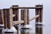 板巖插件官方網(wǎng)站的揭秘之旅，揭開(kāi)板巖插件官方網(wǎng)站的秘密面紗，深度揭秘與實(shí)用技巧