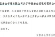 罕見(jiàn)！寶盈基金詭異的基金經(jīng)理變動(dòng)！