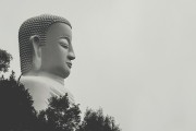 夢中之旅，與他人共度的奇妙時光，夢中之旅，與他人共度的奇妙時光