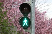 新車輪胎發(fā)黃的原因是什么？如何預(yù)防和處理這一問題？