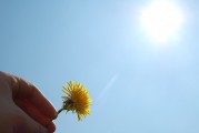 夢(mèng)中的朋友，大肚子的寓意，夢(mèng)中的朋友與大肚子的寓意