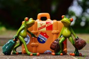 僵尸戰(zhàn)爭，如何輕松注冊，開啟你的戰(zhàn)斗之旅！輕松注冊，加入僵尸戰(zhàn)爭，開啟你的驚心動魄戰(zhàn)斗之旅！