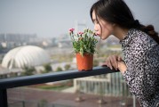 夢(mèng)中邂逅，女孩的神秘世界，夢(mèng)中邂逅，女孩的神秘世界