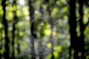 解密無限游戲——免費手機解密游戲的帶你探索未知世界，一鍵破解，揭秘?zé)o窮游戲，解鎖無限世界