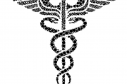 夢(mèng)中蛇影，解讀夢(mèng)到蛇爬身上的神秘寓意，夢(mèng)中蛇影，解讀夢(mèng)到蛇爬身上的神秘寓意
