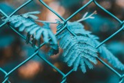 快速網(wǎng)站優(yōu)化，高效快速的網(wǎng)站優(yōu)化策略