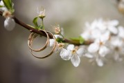 夢中之筆，一篇關(guān)于夢到文章的探索