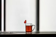 光腳之夢，探索內(nèi)心深處的真實(shí)與自由