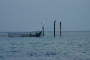 夢中的魚影，一次自我探索的殺魚夢，夢中之魚影，一次自我探索的殺魚夢境