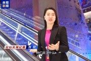 1100多位中德商界人士參與這次會(huì)議 他們說“我們離不開中國(guó)”
