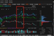祥源文旅非經(jīng)營性資金占用雖已歸還，但仍被出具警示函！