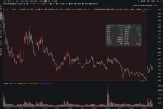上市股價(jià)最大跌幅超73%！利揚(yáng)芯片業(yè)績(jī)?nèi)孓D(zhuǎn)虧、風(fēng)險(xiǎn)因素不斷積累