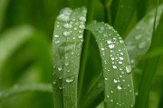 一則新聞引發(fā)的深思，我國成功研發(fā)新型環(huán)保材料，助力綠色發(fā)展，我國新型環(huán)保材料研發(fā)突破，綠色發(fā)展戰(zhàn)略再獲助力