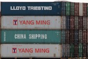 流量費(fèi)網(wǎng)站的崛起與影響，流量費(fèi)網(wǎng)站的發(fā)展與趨勢(shì)，對(duì)消費(fèi)者和運(yùn)營(yíng)商的影響