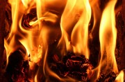 行尸走肉游戲免費下載，讓你在末日中找尋生存之道，高清免費的行尸走肉游戲大放送，末世求生必備神器