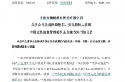 因涉嫌信息披露違法違規(guī)，先鋒新材及總經(jīng)理盧先鋒被立案