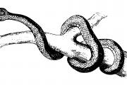 夢(mèng)魘之蛇，蛇咬與反擊的夢(mèng)境解析，夢(mèng)魘之蛇，蛇咬與反擊的夢(mèng)境解析