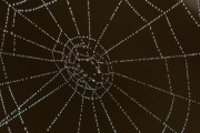 Unity開發(fā)的概述，Unity，創(chuàng)建3D游戲和應(yīng)用程序的強(qiáng)大工具