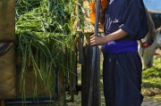 能在掙錢的免費(fèi)農(nóng)場游戲中生存下去嗎？，逃脫農(nóng)地，自由農(nóng)場生存挑戰(zhàn)