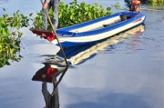 夢中魚游——一場關于小魚的夢境之旅，夢中魚游，一場關于小魚的夢境之旅