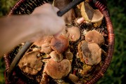 解析夢(mèng)境中的拉屎象征意義，解析夢(mèng)境中的拉屎象征意義