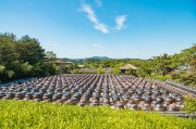 打造空中農(nóng)田，讓夢想照進(jìn)現(xiàn)實——免費種地游戲的探索與啟示，空中農(nóng)田，挑戰(zhàn)、機遇與啟示——一個免費種地游戲的探討