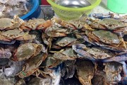 夢中奇遇，螃蟹與魚的共舞，夢中奇遇，螃蟹與魚的共舞
