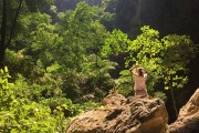 夢(mèng)中尋房，探索未知與內(nèi)心深處的旅程，夢(mèng)中尋房，探索未知與內(nèi)心深處的旅程