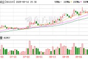 騰遠鈷業(yè)：118383034股限售股將于9月18日上市流通