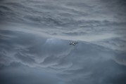 翱翔太空的戰(zhàn)爭游戲——星際爭霸，星際爭霸，浩瀚宇宙中的英勇對決