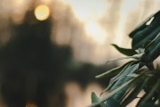 漫漫的ACG之路，尋找和熱愛的那份樂趣，ACG之路上，探索與熱愛的樂趣