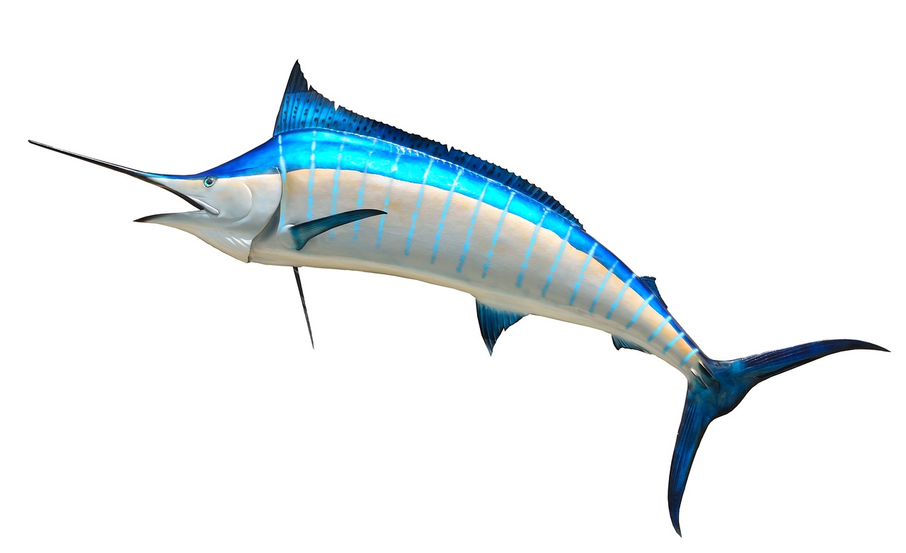 無限制的海洋冒險，游戲釣魚免費下載體驗