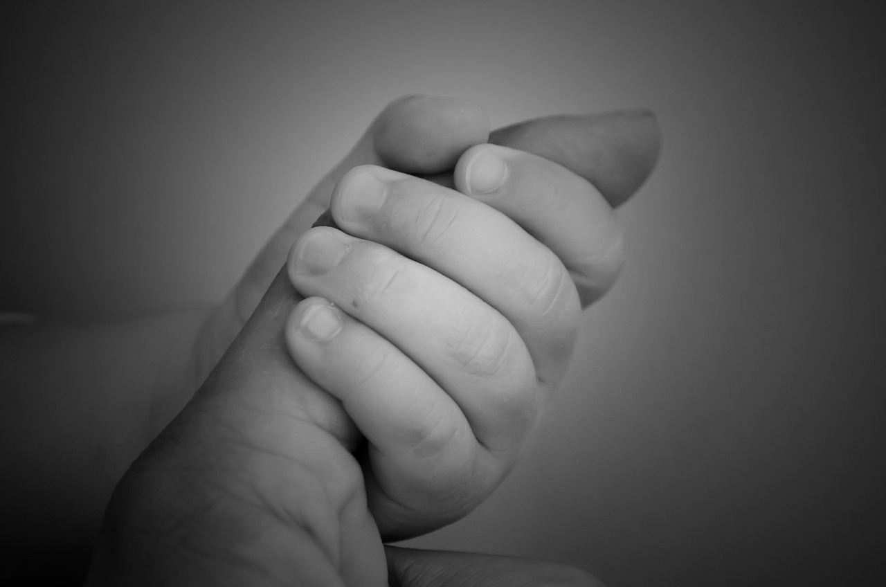 孕婦夢到狼，寓意與解讀
