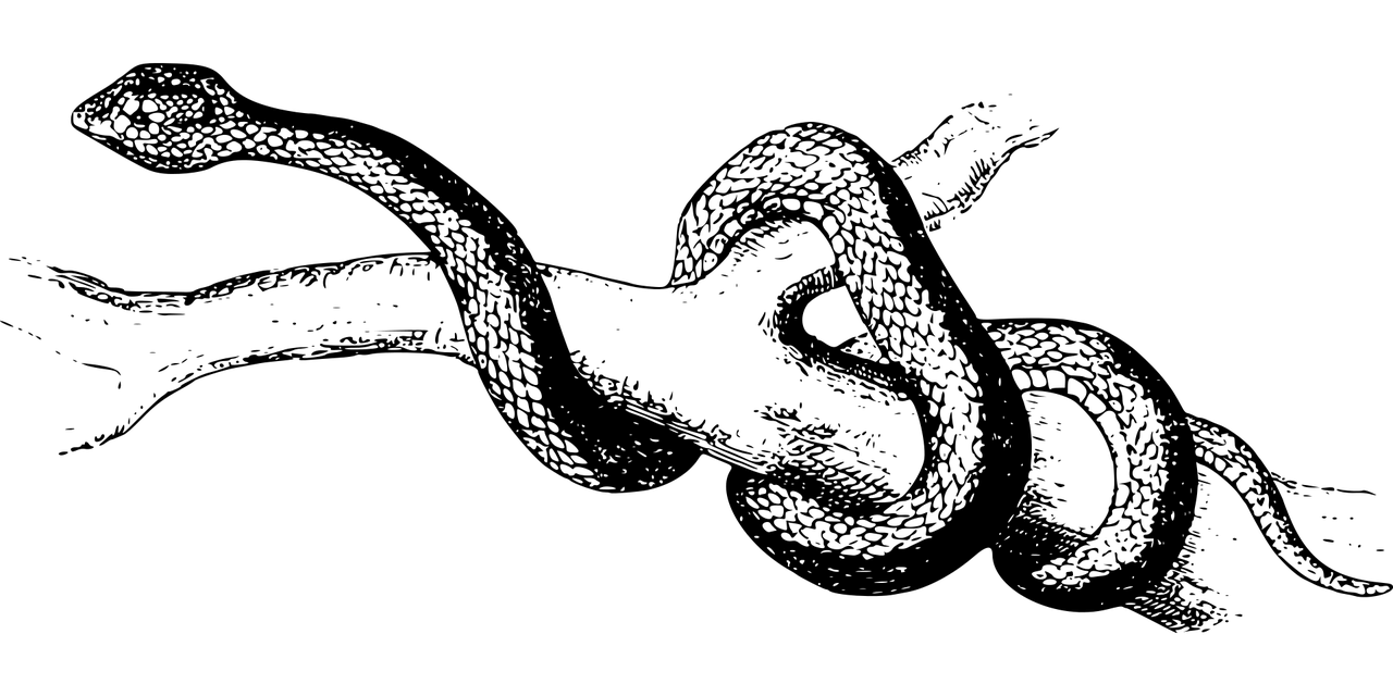 夢(mèng)魘之蛇，蛇咬與反擊的夢(mèng)境解析，夢(mèng)魘之蛇，蛇咬與反擊的夢(mèng)境解析