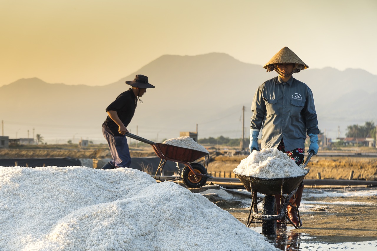夢(mèng)到守靈，一場(chǎng)心靈的旅程