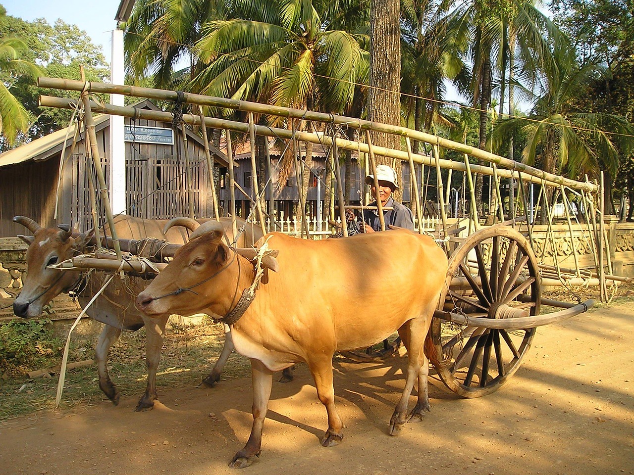 石嘴山農(nóng)產(chǎn)品網(wǎng)站搭建，助力鄉(xiāng)村振興，打造區(qū)域特色品牌