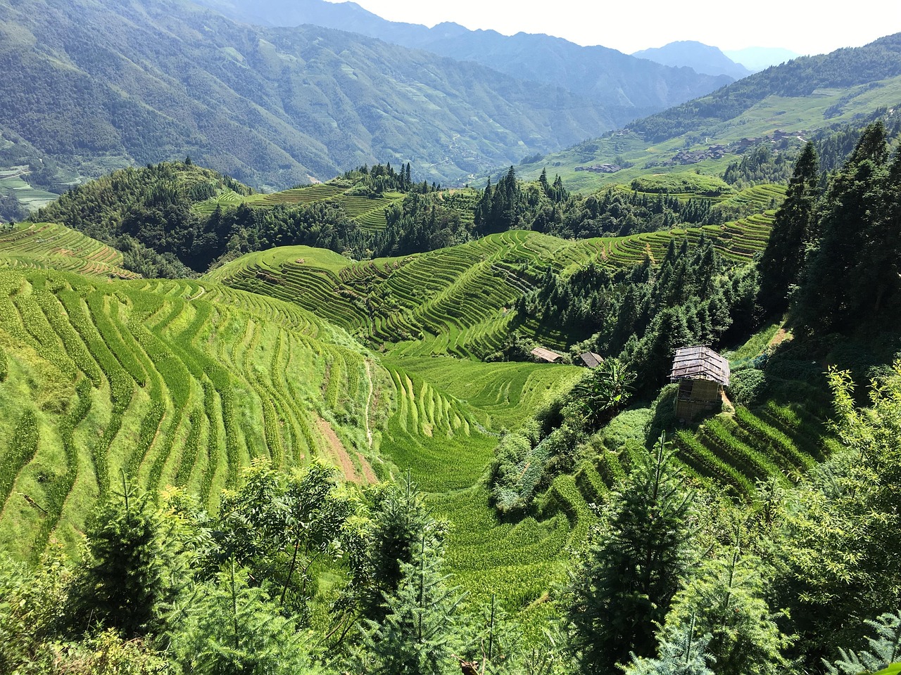 農(nóng)業(yè)新聞，綠色轉(zhuǎn)型下的中國農(nóng)業(yè)新篇章