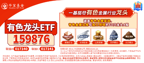 有色蓄勢高飛！有色龍頭ETF（159876）盤中逆市漲超3%！銅、金、鋁攜手上攻，北方銅業(yè)漲停封板