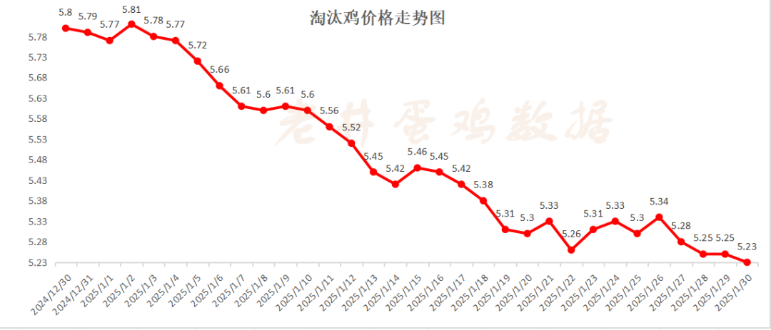 老井扯雞蛋：昨日全國(guó)雞蛋均價(jià)、淘汰雞均價(jià)均偏弱！